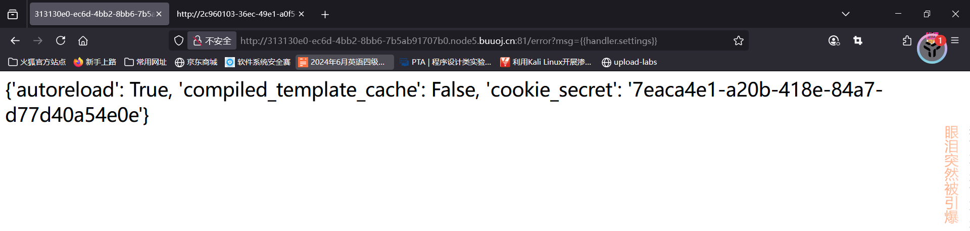 image-20250625105626548