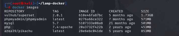 image-20250911095610947