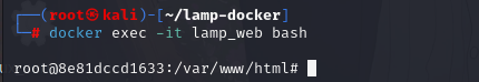 image-20250911101615647