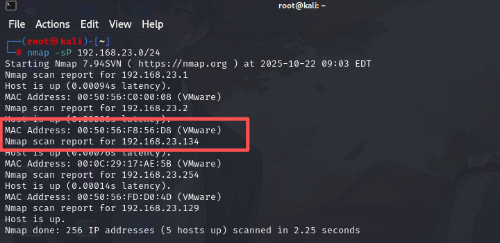 image-20251023161920490