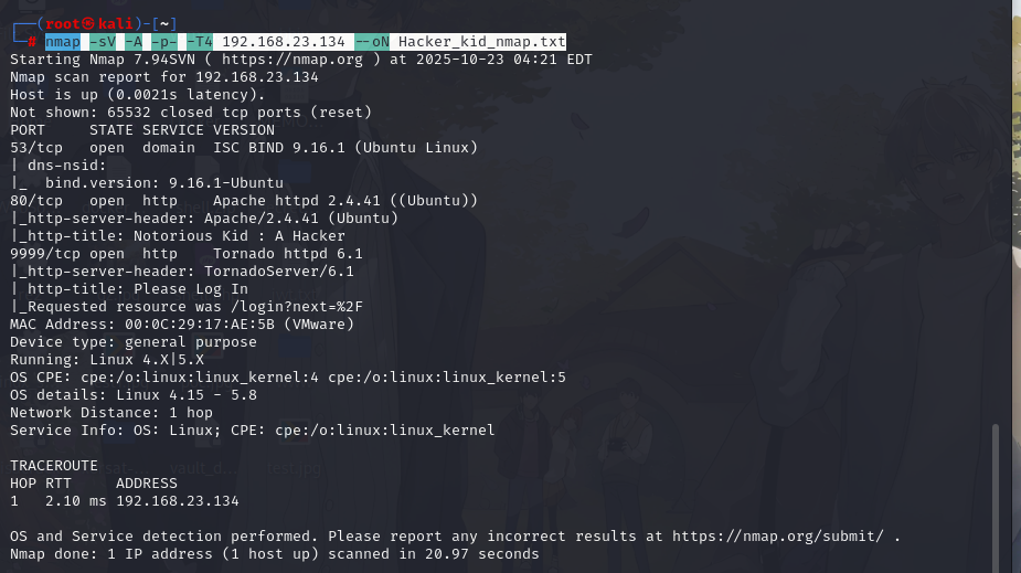 image-20251023162205944