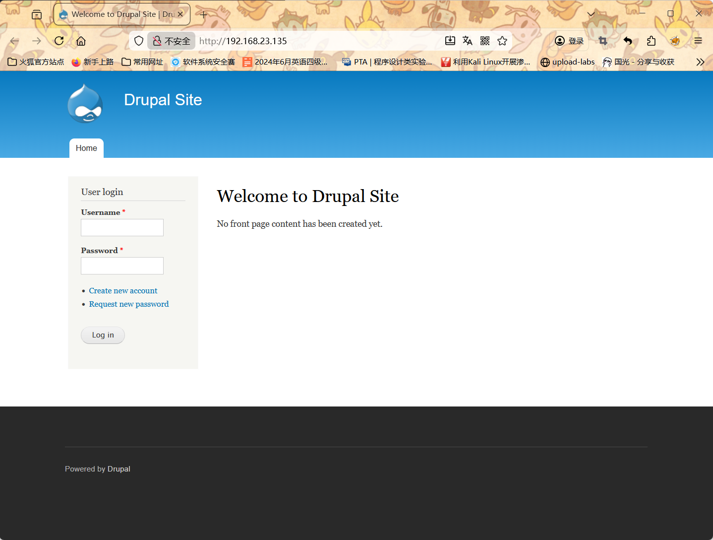 image-20251118132635341