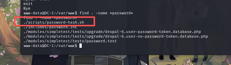 image-20251118180555875
